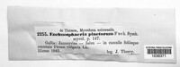 Enchnosphaeria pinetorum image